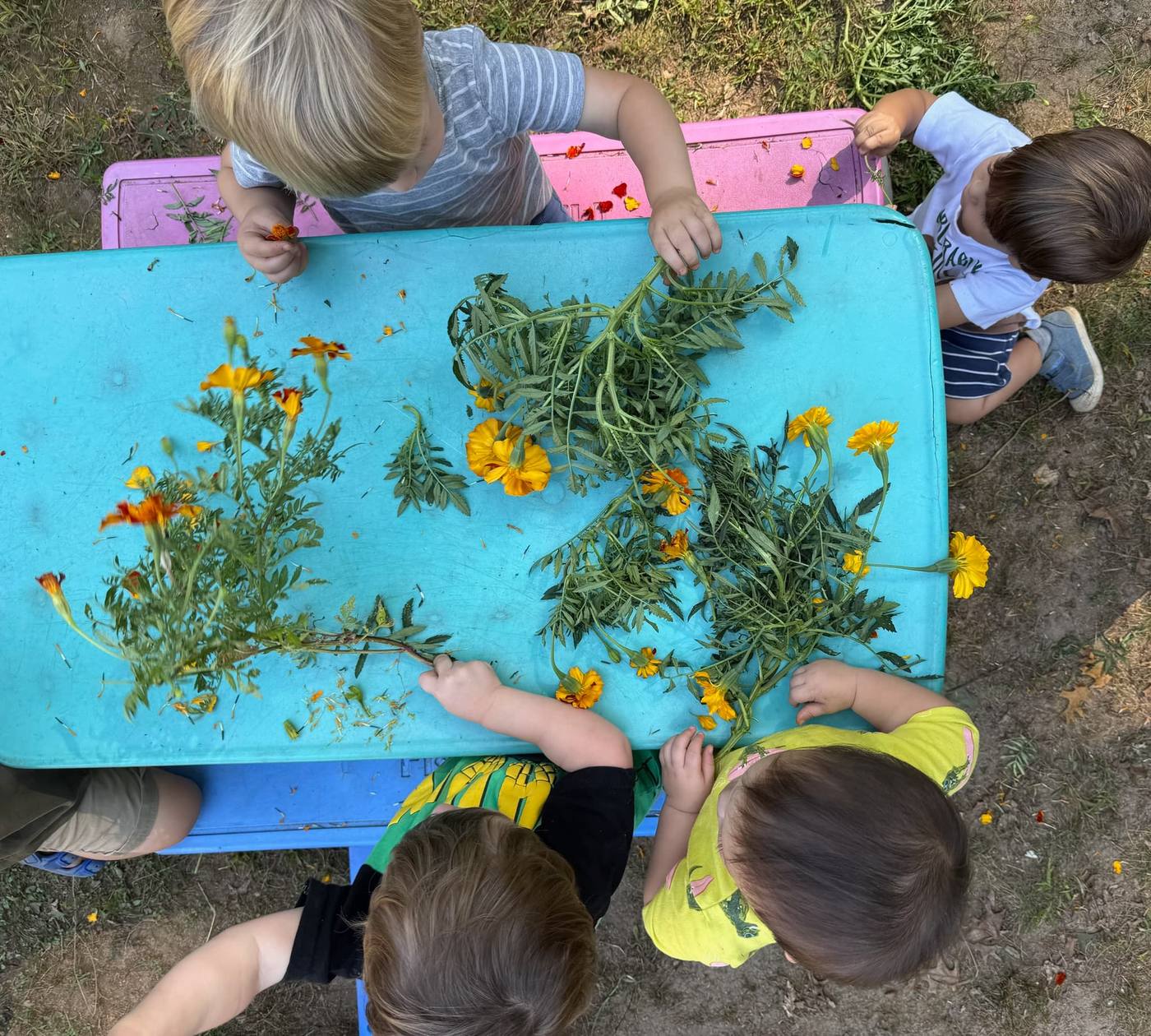 Children exploring marigold flowers on a play table