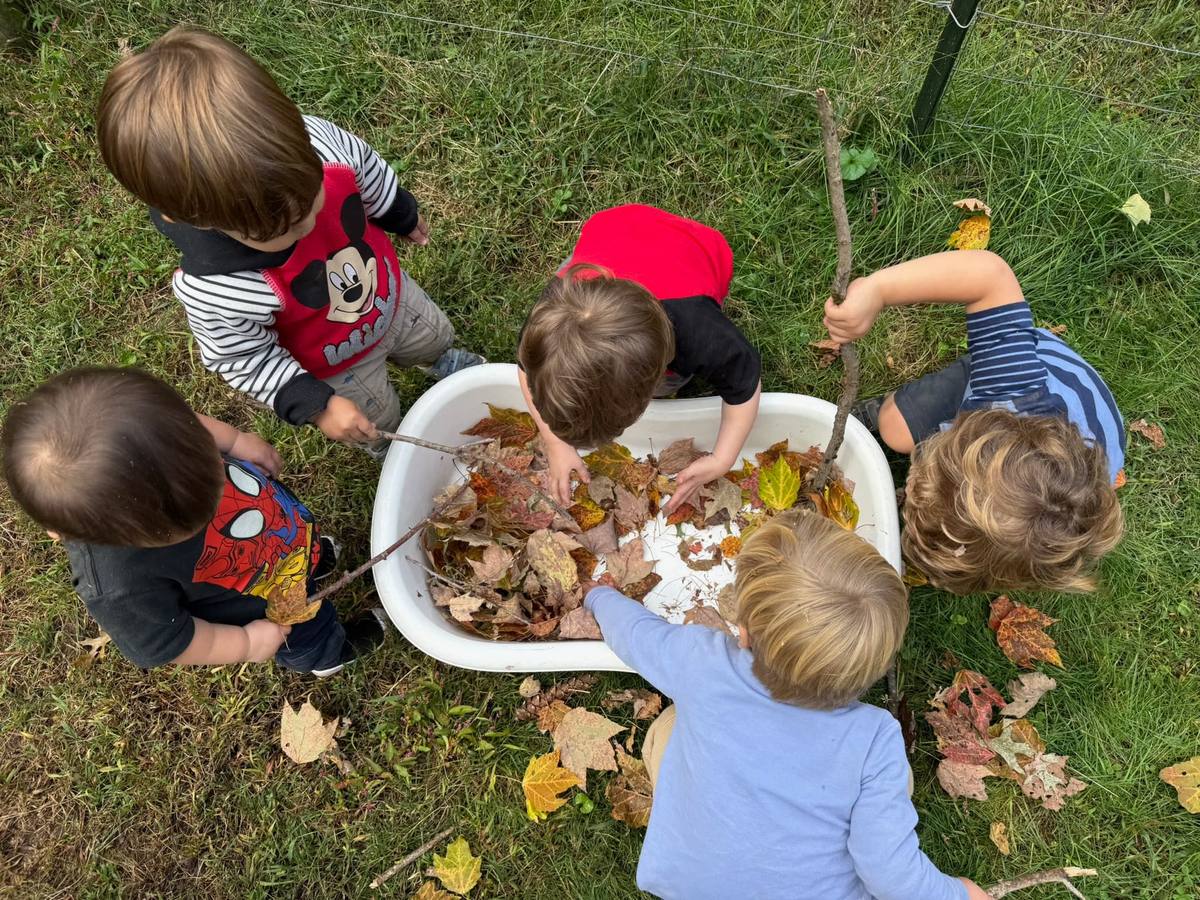 Children sorting leaves in a sensory bin