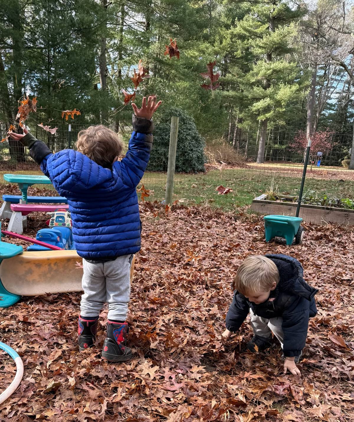 A child tossing autumn leaves in the air
